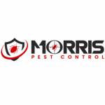Morris Wasp Removal Melbourne Profile Picture