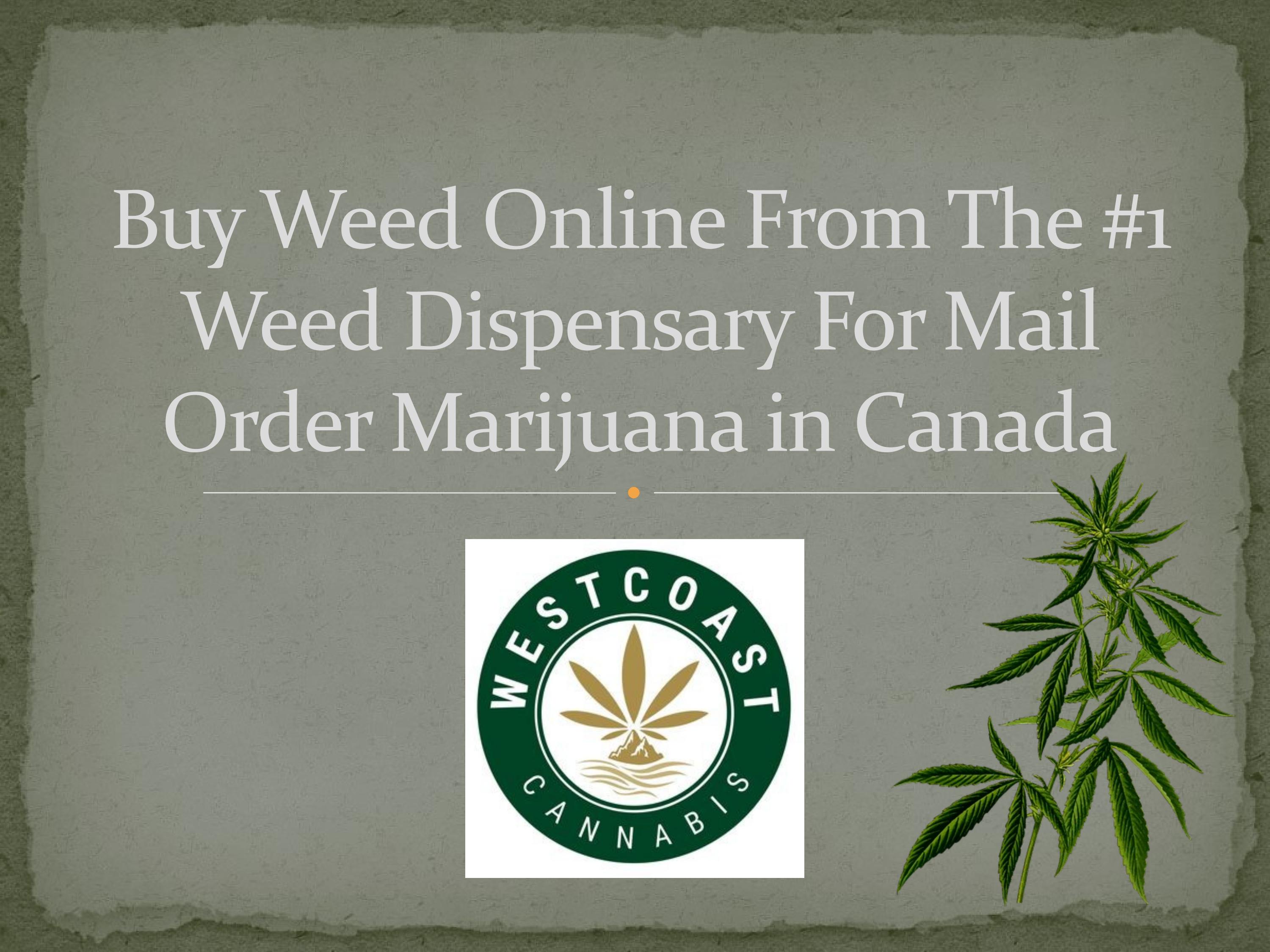 Buy Weed Online From The #1 Weed Dispensary For Mail Order Marijuana in Canada