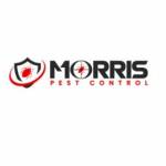 Morris Wasp Control Canberra Profile Picture