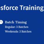 Best Salesforce Training in Pune Profile Picture