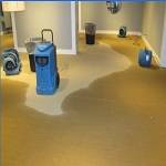Radiant Water Damage Minneapolis Profile Picture