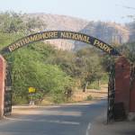 Ranthambore National Park Profile Picture