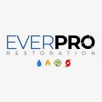EverPro Restoration Profile Picture