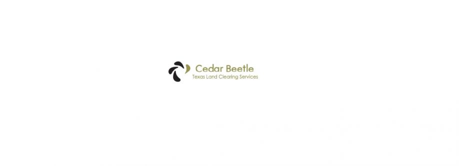 Texas Land Clearing Services  Cedar Beetle Cover Image