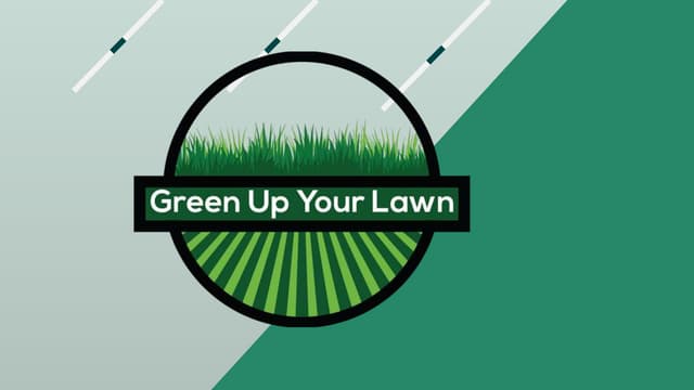 Get A Green Lawn Fast With Australia's Best Grass Paint