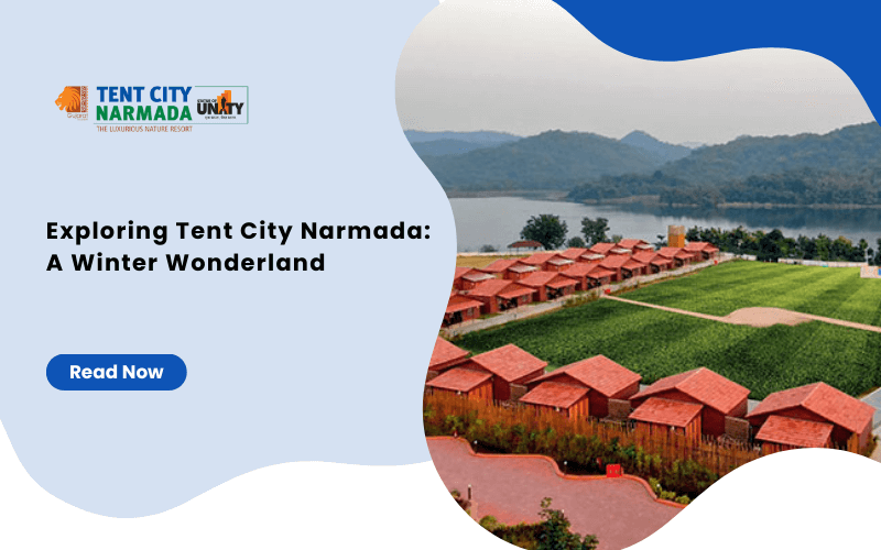 Exploring Tent City Narmada: A Winter Wonderland - Tent City Narmada Blog And News