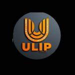 Ulipindia Profile Picture