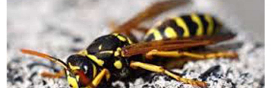 Goode Wasp Control Melbourne Cover Image