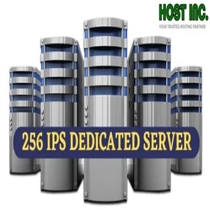 What Is 256 Ip Dedicated Server