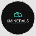 6 Minerals Profile Picture
