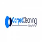 Pros Carpet Cleaning Sydney Profile Picture