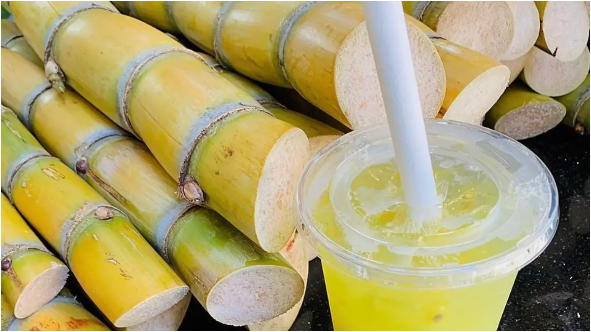 Health Benefits of Sugarcane Juice - WriteUpCafe.com