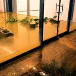 Spotless Flood Damage Restoration Sydney Profile Picture