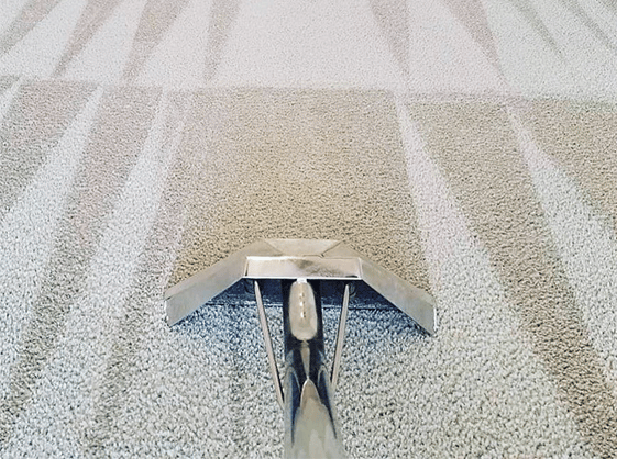 Carpet Cleaning Brighton | 20,000+ Positive Reviews