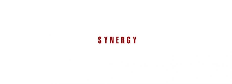 SYNERGY Consulting Cover Image