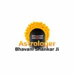 Astrologer Bhavani Shankar Ji Profile Picture