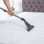 Prompt Mattress Cleaning Perth Profile Picture