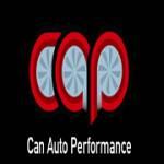 Can Auto Performance profile picture