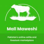 Mall Maweshi Profile Picture