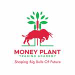 Money Plant Trading Academy Profile Picture
