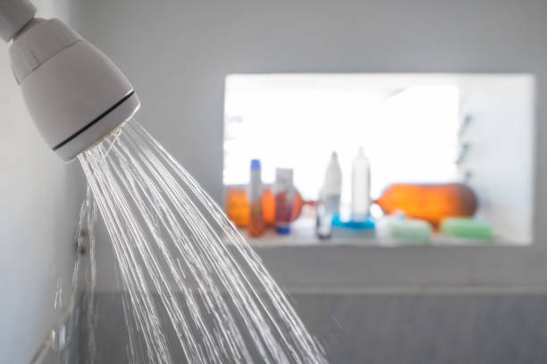 Critical aspects of selecting the best shower heads for your home - NewsJoury