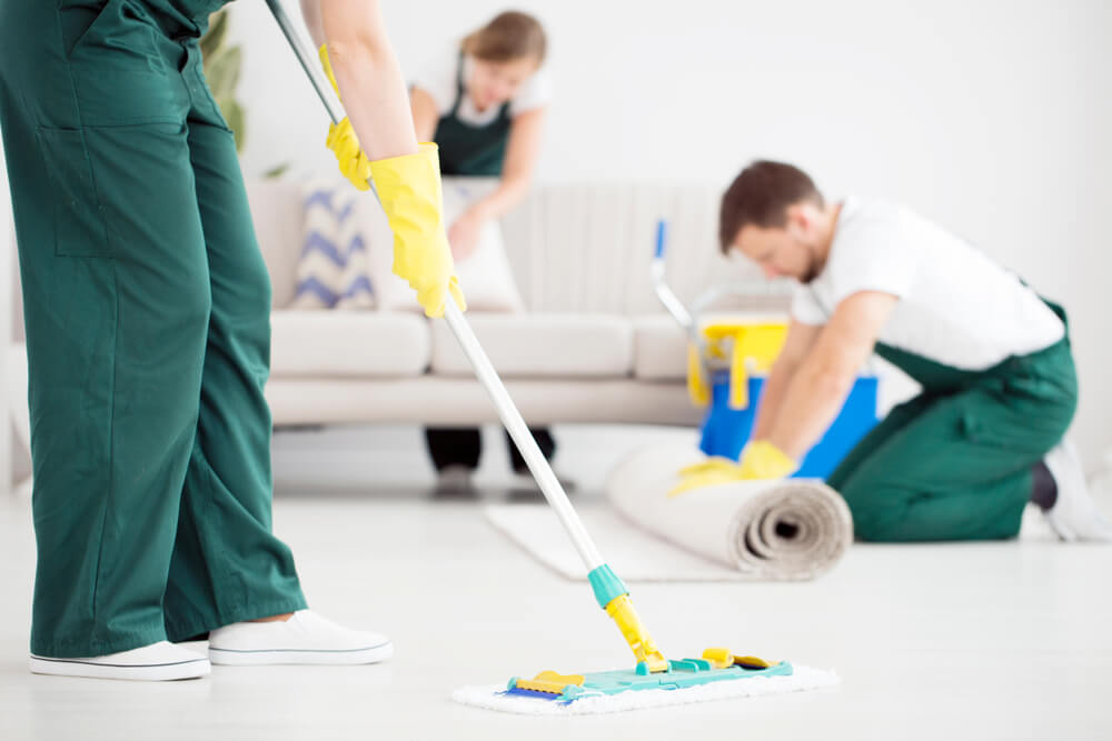 Bond Cleaning Everton Park | Best Bond Cleaner in Everton Park