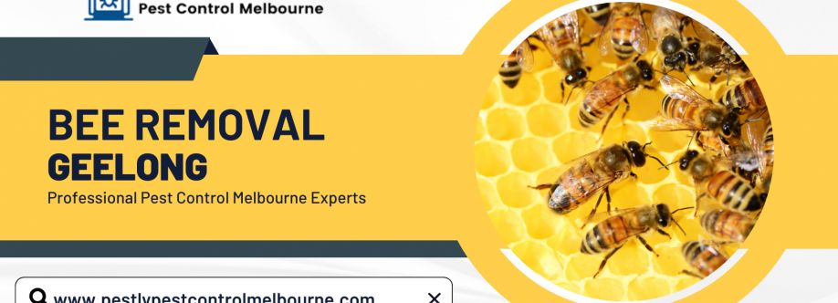 Bee Removal Geelong Cover Image
