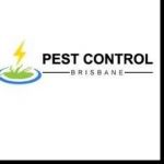 Rodent Control Brisbane Profile Picture