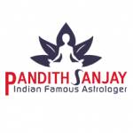 Pandith Sanjay Ji profile picture