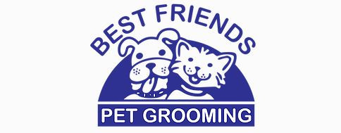 Full Grooming Service for Dogs | Dog Groomer in Delray Beach