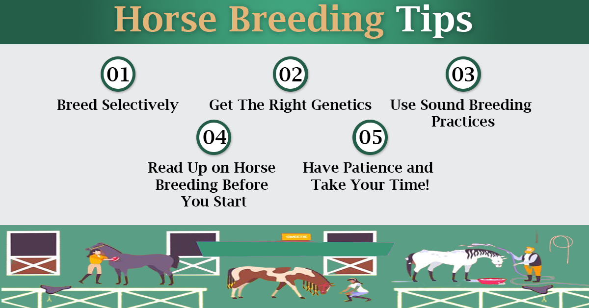 Essential Tips for Successful Horse Breeding - F95zone Pro