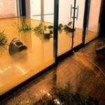 Flood Damage Restoration Ocean Grove Profile Picture