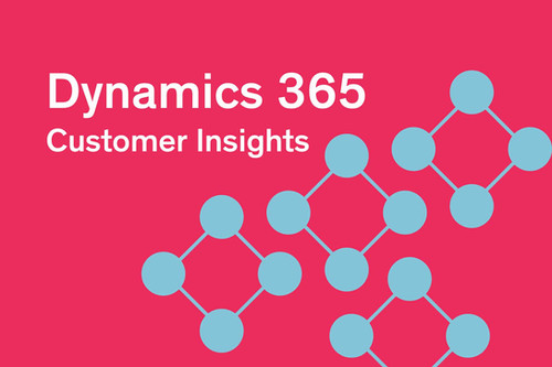 Dynamics 365 Customer Insights | Technology Solutions Worldwide