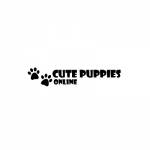 cs puppies LLC Profile Picture