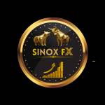 Sinoxfx Trading Profile Picture