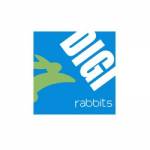 Digi Rabbits profile picture