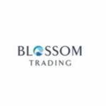 blossom trading profile picture