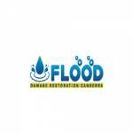 Flood Damage Restoration Griffith Profile Picture