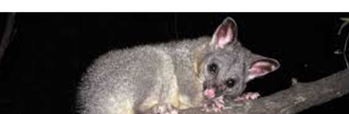 Front Line Possum Control Perth Cover Image