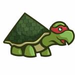 Roofing Turtle Profile Picture