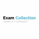 Exam Collection Profile Picture