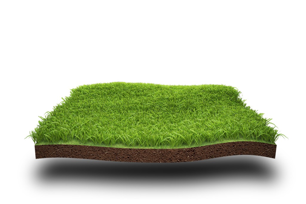 ARTIFICIAL GRASS IN VANCOUVER - Mr Greens Turf