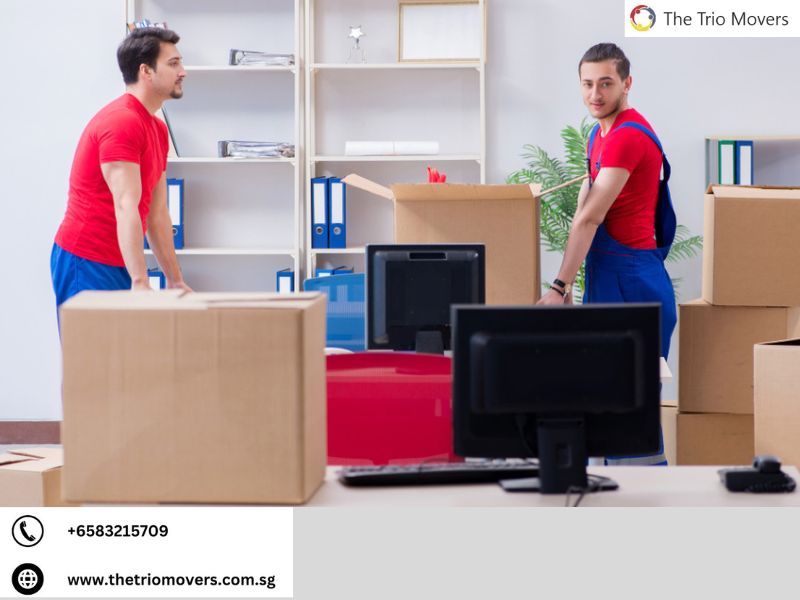 8 Questions To Ask Before Picking a Moving Company in Singapore – The Trio Movers