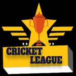 Cricket League Profile Picture