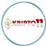 Kripto 11 Profile Picture