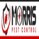 Morris Bee Removal Perth Profile Picture