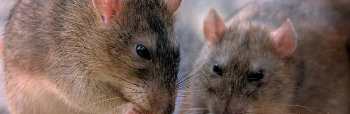 Frontline Rodent Control Perth Cover Image