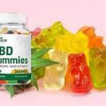 CBD Choice Gummies Profile Picture