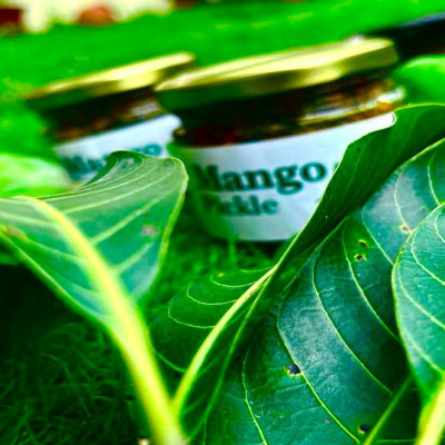 Buy Dry Mango Pickle Online | North Indian Homemade Mango Pickle | Dhauladhar Pickles