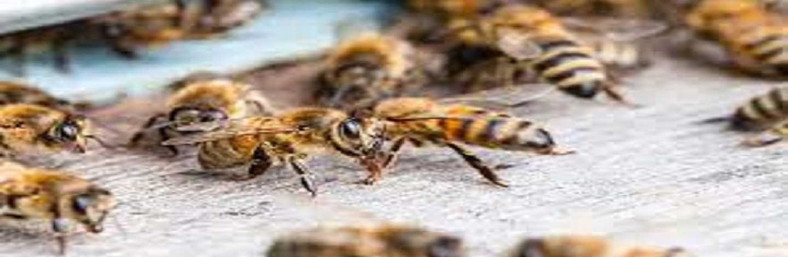 Morris Bee Removal Perth Cover Image